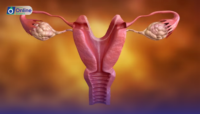 Lesson 01: Fundamentals of Reproduction